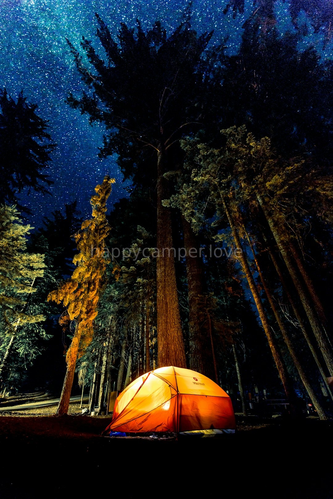 Luxury Tents