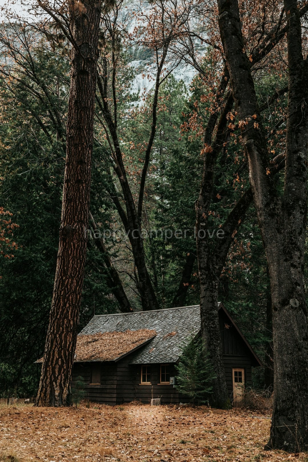 Luxury Cabin