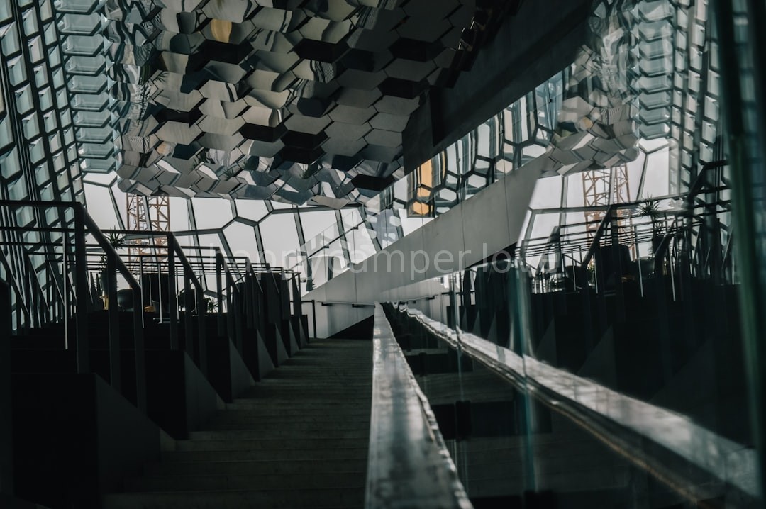 Gallery 4